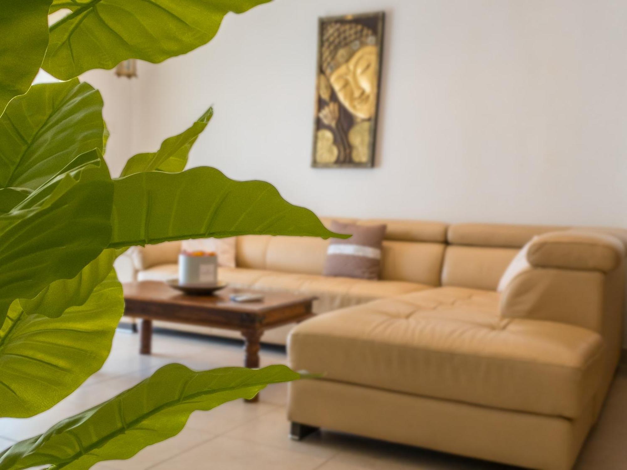 מרססקלה Kimray Boutique Apartment - Indulge In Comfort, Embrace Tranquility מראה חיצוני תמונה